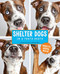 Shelter Dogs in a Photo Booth by Guinnevere Shuster, 9781449477844