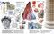 The Rock and Gem Book (And Other Treasures of the Natural World) by DK, Smithsonian Institution, 9781465450708
