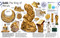 The Rock and Gem Book (And Other Treasures of the Natural World) by DK, Smithsonian Institution, 9781465450708