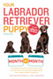 Your Labrador Retriever Puppy Month by Month, 2nd Edition (Everything You Need to Know at Each Stage of Development) by Terry Albert, Debra Eldredge DVM, 9781465451064
