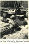 For You (Poetry) by Hayden Carruth, 9780811200165