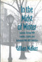 In the Midst of Winter (Systemic Therapy with Families, Couples, and Individuals with AIDS Infection) by Gillian Walker, 9780393700879