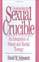 Constructing the Sexual Crucible (An Integration of Sexual and Marital Therapy) by David Morris Schnarch, 9780393701029