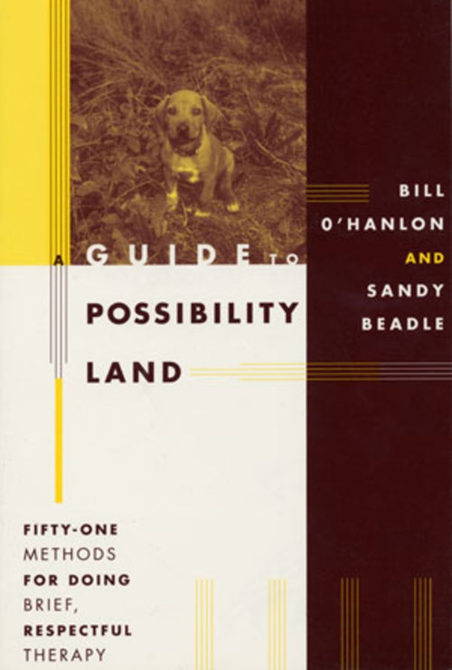 A Guide to Possibility Land (Fifty-One Methods for Doing Brief, Respectful Therapy) by Sandy Beadle, Bill O'Hanlon, 9780393702972
