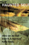 The Haunted Self (Structural Dissociation and the Treatment of Chronic Traumatization) by Onno van der Hart, Ellert R. S. Nijenhuis, Kathy Steele, 9780393704013