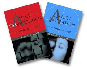 Affect Regulation and the Repair of the Self & Affect Dysregulation and Disorders of the Self Two-Book Set by Allan N. Schore, 9780393704082