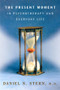 The Present Moment in Psychotherapy and Everyday Life by Daniel N. Stern, 9780393704297