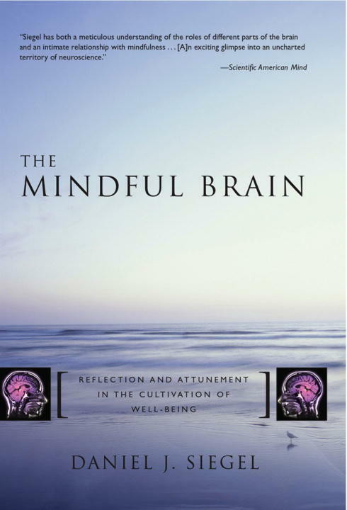 The Mindful Brain (Reflection and Attunement in the Cultivation of Well-Being) by Daniel J. Siegel, 9780393704709