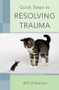 Quick Steps to Resolving Trauma by Bill O'Hanlon, 9780393706512