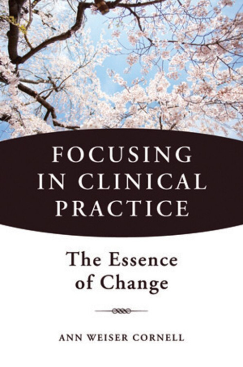 Focusing in Clinical Practice (The Essence of Change) by Ann Weiser Cornell, 9780393707601