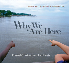 Why We Are Here (Mobile and the Spirit of a Southern City) by Edward O. Wilson, Alex Harris, 9780871404701