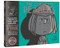 The Complete Peanuts 1993-1994 (Vol. 22 Hardcover Edition) by Charles M. Schulz, 9781606997734