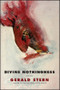 Divine Nothingness (Poems) - 9780393352863 by Gerald Stern, 9780393352863