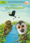 Where Is the Amazon? - 9780448488264 by Sarah Fabiny, Who HQ, Daniel Colon, 9780448488264
