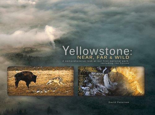 Yellowstone - 9781591521303 by David William Peterson, 9781591521303
