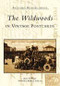 The Wildwoods in Vintage Postcards by James D. Ristine, Robert J. Scully Sr., 9780738510071