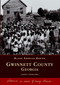 Gwinnett County, Georgia by Jennifer E. Cheeks-Collins, 9780738514055