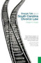 Straight Talk about South Carolina Divorce Law by Robert N. Rosen, 9781596293168