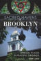 Sacred Havens of Brooklyn: (Spiritual Places and Peaceful Grounds) by Terri Cook, 9781609499822