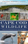 Cape Cod Wildlife: (A History of Untamed Forests, Seas and Shores) by Theresa Mitchell Barbo, 9781609492250