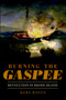 Burning the Gaspee: (Revolution in Rhode Island) by Rory Raven, 9781609494780
