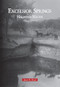 Excelsior Springs: (Haunted Haven) by Janet R. Reed, 9780738583365