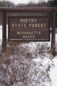 Poetry State Forest by Bernadette Mayer, 9780811217231