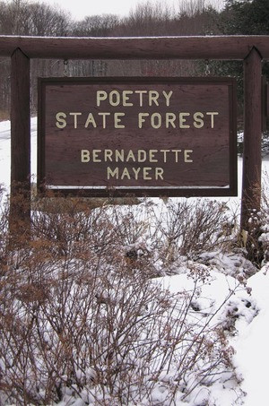Poetry State Forest by Bernadette Mayer, 9780811217231