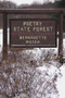 Poetry State Forest by Bernadette Mayer, 9780811217231