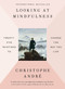 Looking at Mindfulness (Twenty-five Paintings to Change the Way You Live) by Christophe Andre, 9780399575945