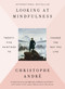 Looking at Mindfulness (Twenty-five Paintings to Change the Way You Live) by Christophe Andre, 9780399575945