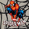 The World According to Spider-Man by Daniel Wallace, Mirco Pierfederici, 9781608873944
