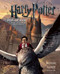 Harry Potter: A Pop-Up Book by Andrew Williamson, Lucy Kee, Bruce Foster, 9781608870080