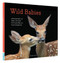 Wild Babies (Photographs of Baby Animals from Giraffes to Hummingbirds) by Traer Scott, 9781452134864