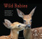 Wild Babies (Photographs of Baby Animals from Giraffes to Hummingbirds) by Traer Scott, 9781452134864