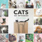 Cats on Instagram by @cats_of_instagram, 9781452151960