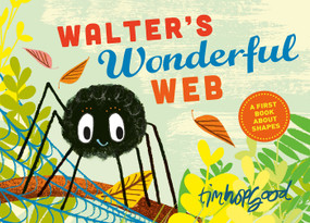Walter's Wonderful Web (A First Book About Shapes) by Tim Hopgood, 9780374303525