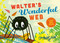 Walter's Wonderful Web (A First Book About Shapes) by Tim Hopgood, 9780374303525