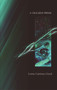 A Cracked Prism by Lorna Catriona Lloyd, 9781902638713