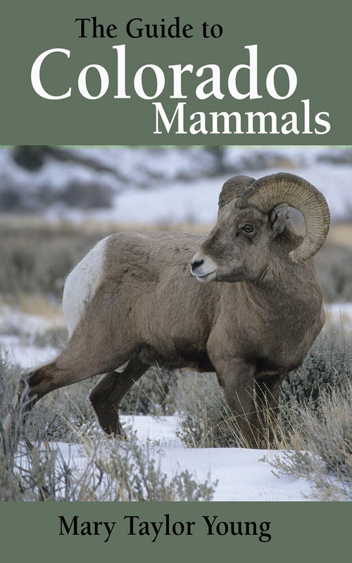 The Guide to Colorado Mammals by Mary Taylor Young, 9781555915834