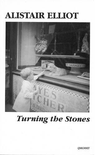Turning the Stones by Alistair Elliot, 9781857540413