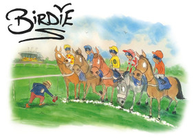 Birdie (The Best of Darren Bird) by Darren Bird, 9781910498149