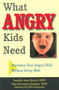 What Angry Kids Need (Parenting Your Angry Child Without Going Mad) by Jennifer Anne Brown, Pam  Provonsha Hopkins, Mits Katayama, 9781884734854