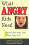 What Angry Kids Need (Parenting Your Angry Child Without Going Mad) by Jennifer Anne Brown, Pam  Provonsha Hopkins, Mits Katayama, 9781884734854