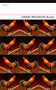 Rooster - 9781847771162 by Gerry McGrath, 9781847771162