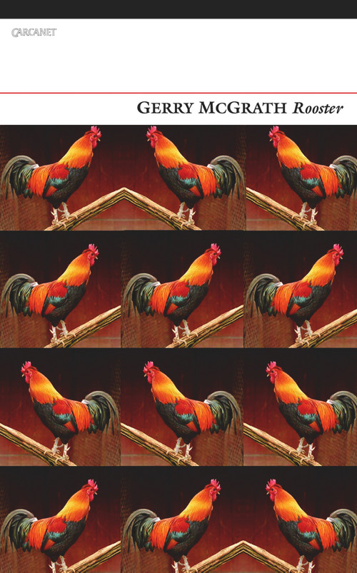 Rooster - 9781847771162 by Gerry McGrath, 9781847771162