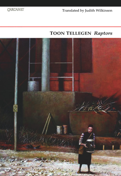 Raptors by Toon Tellegen, Judith Wilkinson, 9781847770837
