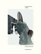 Sergei Sviatchenko: Collages by Rick Poynor, 9783902833655