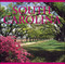 South Carolina by Tanya Lloyd Kyi, 9781552857250