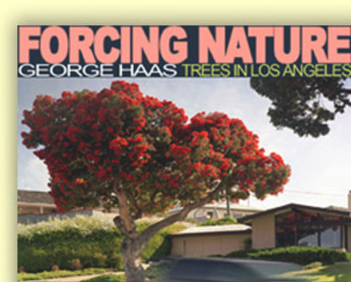 Forcing Nature (Tree in Los Angeles) by George Hass, Arty Nelson, Carolyn Peter, James McCourt, 9781593730505